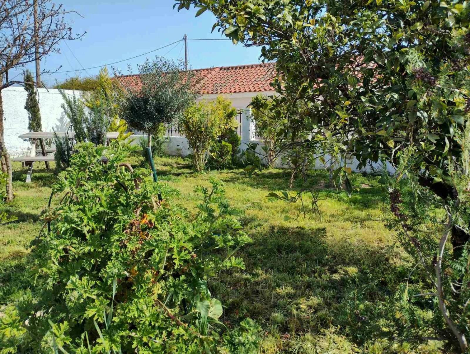Nafplio Cottage-Grandma'S Yard Asíni Exteriör bild
